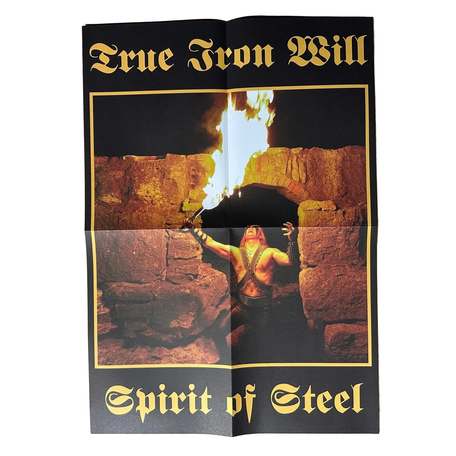 True Iron Will - Spirit of Steel (Picture Disc LP)