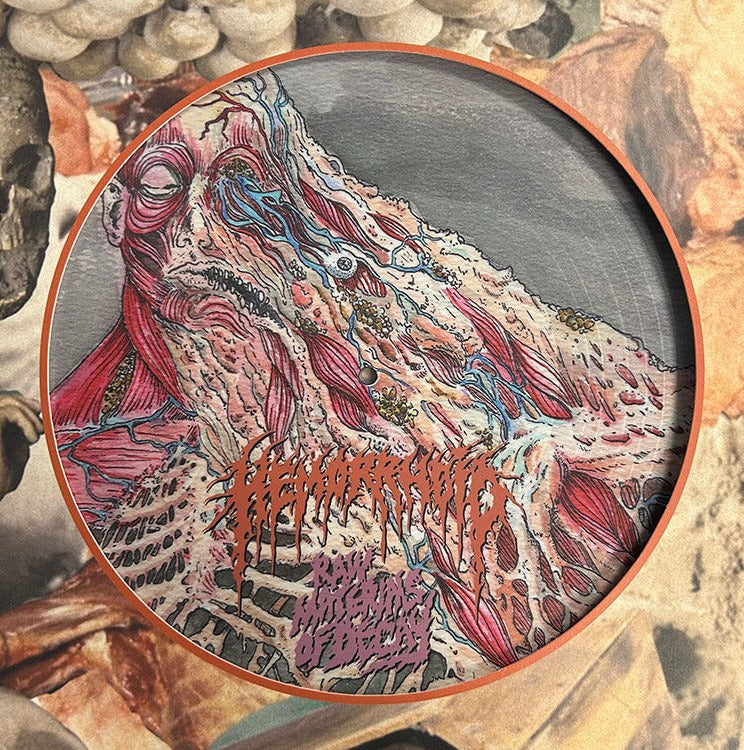 Hemorrhoid - Raw Materials of Decay - 12" LP