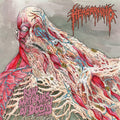 Hemorrhoid - Raw Materials of Decay - CD