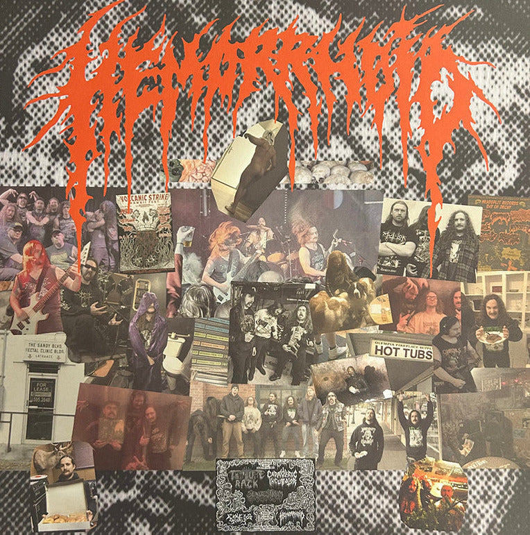 Hemorrhoid - Raw Materials of Decay - 12" LP