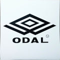 Techno Viking - Odal - 12" LP