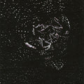 Antediluvian - The Divine Punishment 2LP