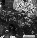 Pus Excretor - Malignant Pustule - Cassette