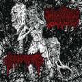 Cadaveric Incubator / Hemorrhoid - Split 7" EP