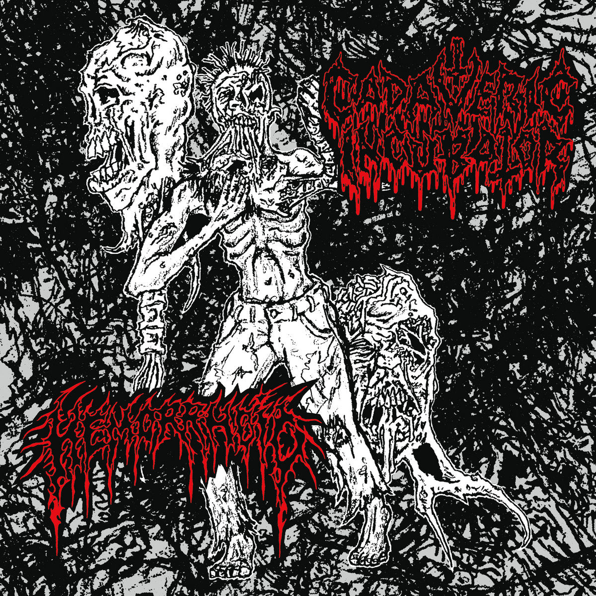 Cadaveric Incubator / Hemorrhoid - Split 7" EP
