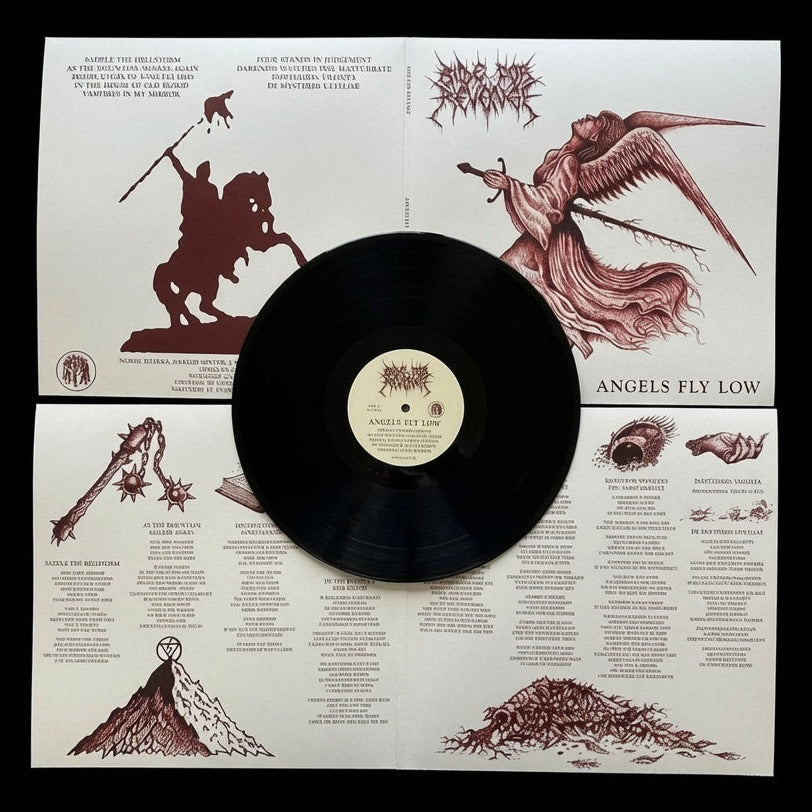 Ride For Revenge - Angels Fly Low LP
